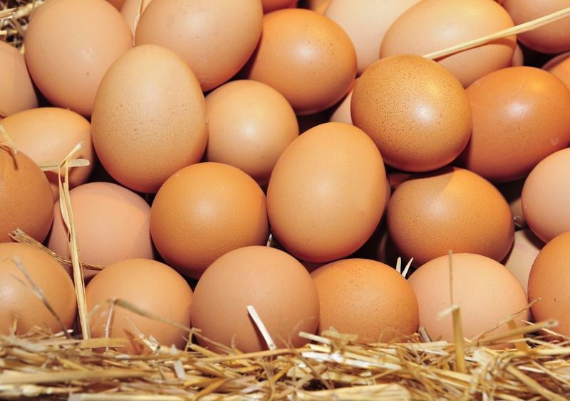 Eieren slecht voor ons cholesterol?