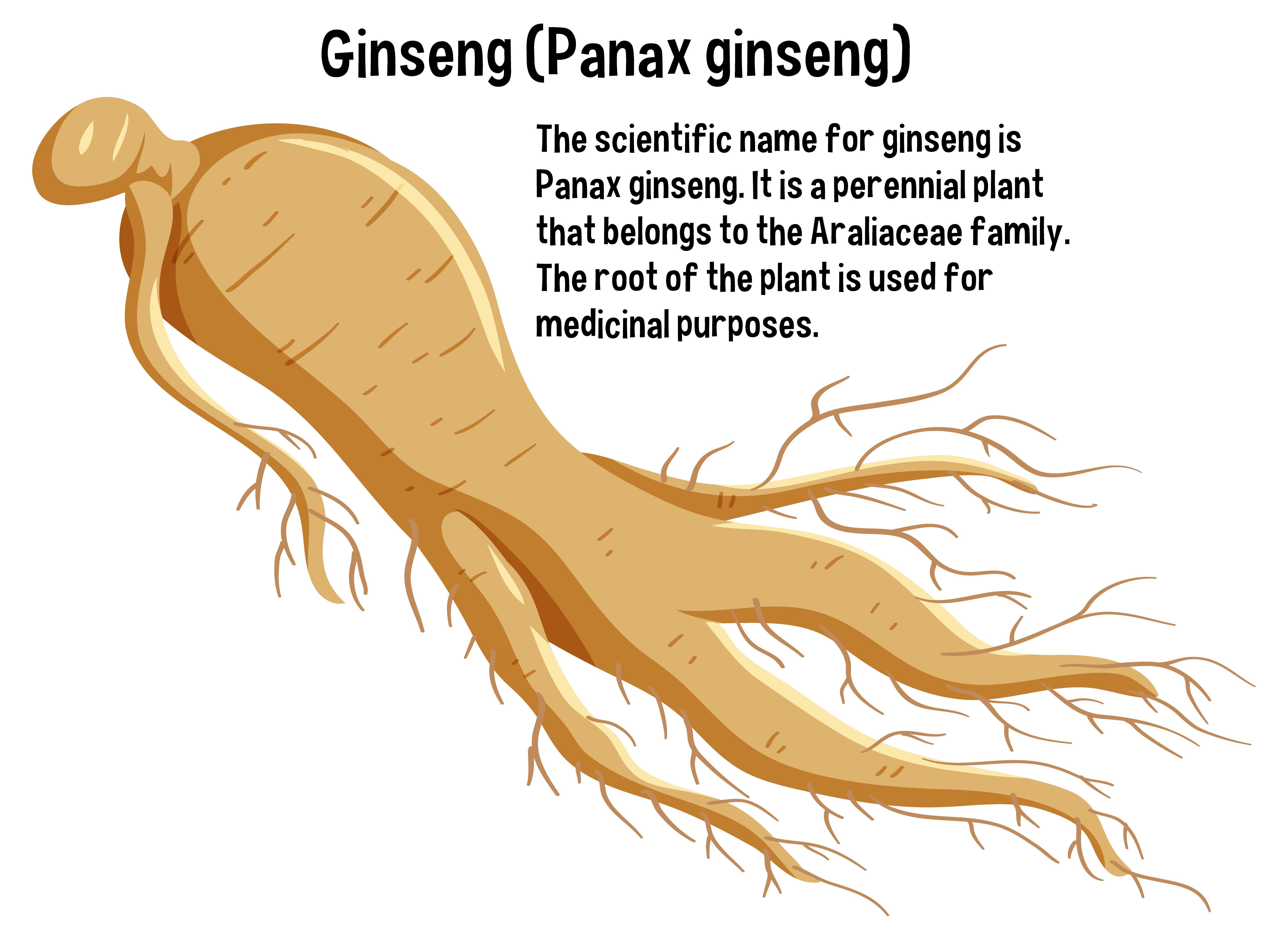 Ginseng
