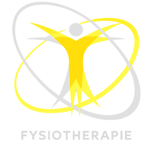 logo Fysiotherapie Peter van der lee